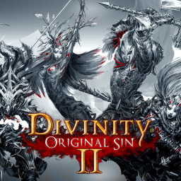 Divinity: Original Sin 2 Divinity: Original Sin 2
